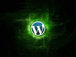 WordPress无需插件纯代码实现将网站静态资源（CSS，JS）存储到又拍云、七牛、腾讯云、阿里云等对象存储中给网站加速