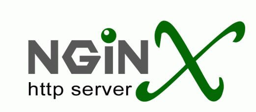 Nginx反向代理Google实例