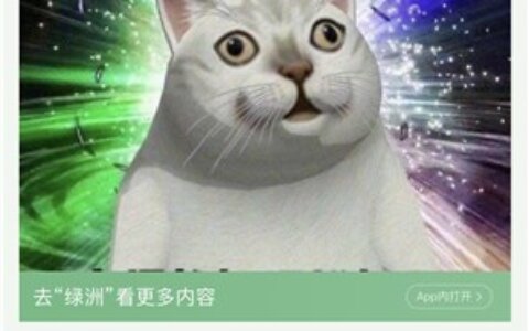 表情包拼了！嘿话小程序和表情包 让你了解网络梗