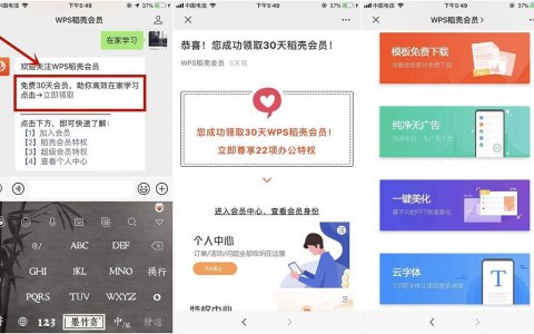 免费领取三十天WPS稻壳会员权益_需要的上