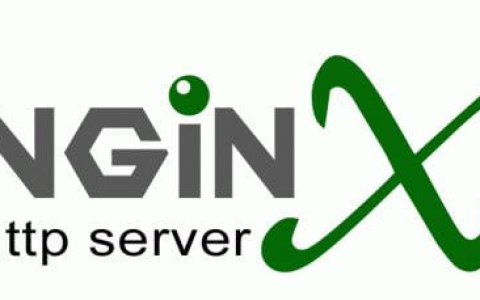 Nginx反向代理Google实例
