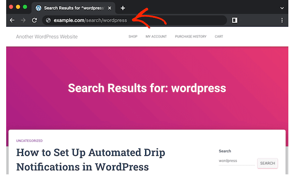 修改 WordPress 中默认搜索的 URL ，增加 SEO 收录数量！