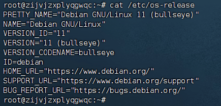 将Debian10升级到Debian11的过程记录