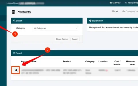 Netcup VPS 转移教程（Push 到新用户）